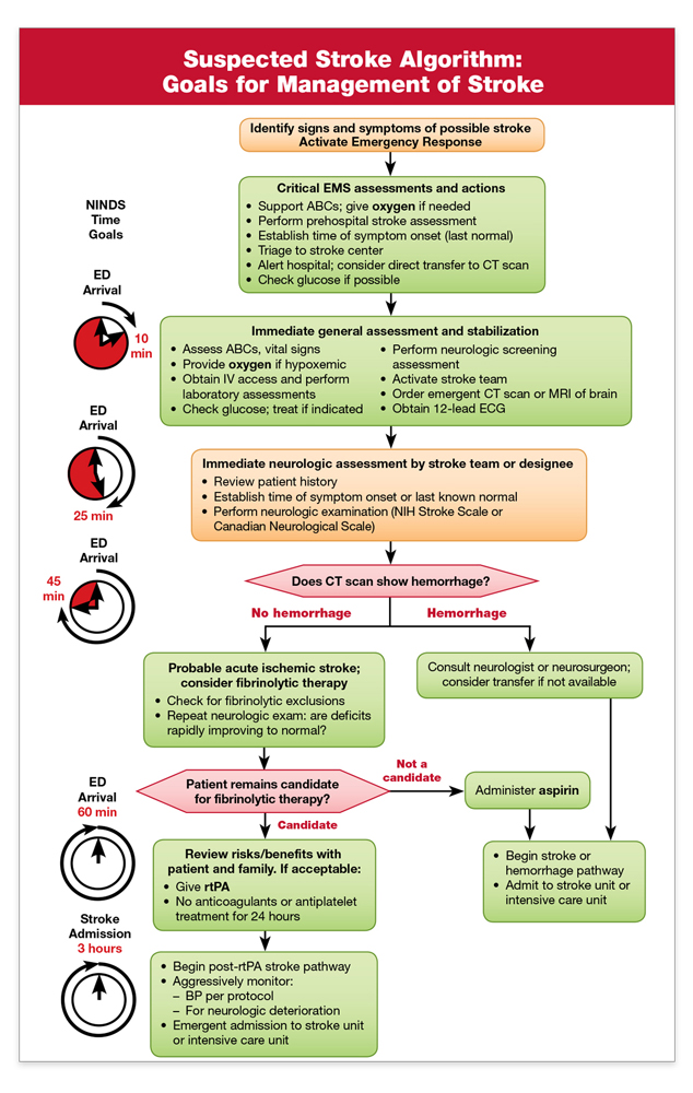 Acls Pacing Algorithm